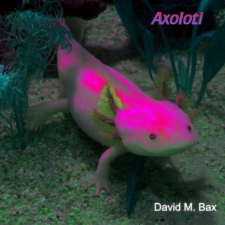 Axoloti