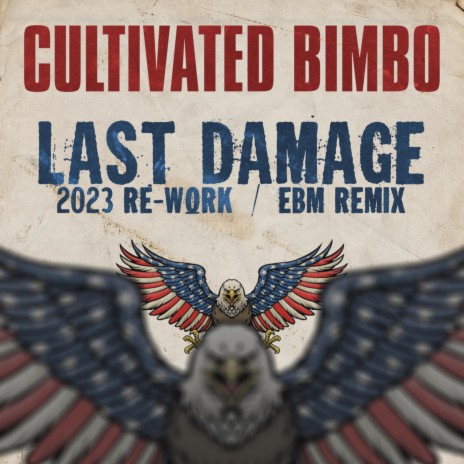 Last Damage (EBM Remix) | Boomplay Music