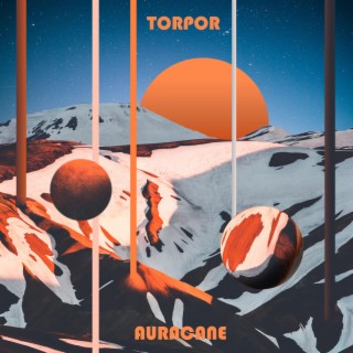 Torpor