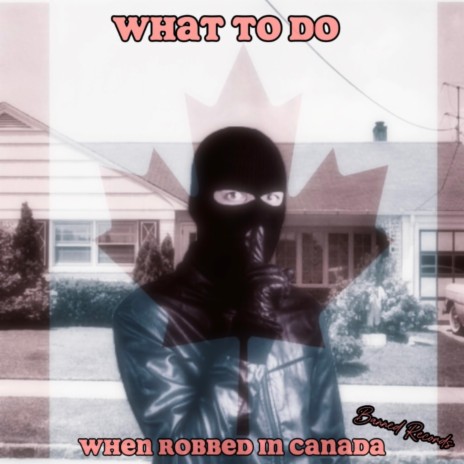 What To Do When Robbed In Canada ft. Goober Sounds