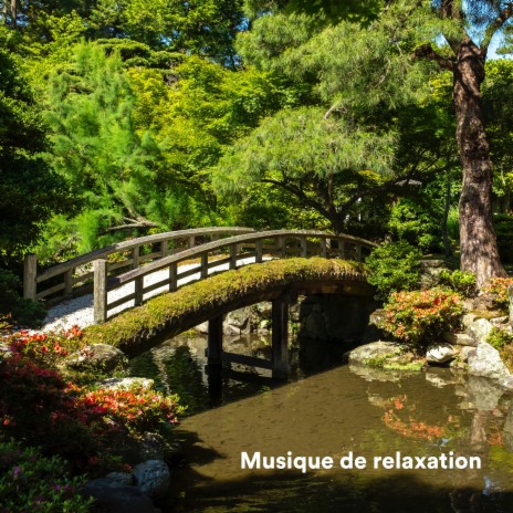 Afternoon ft. Musique Douce Ensemble Master & Musique Relaxante pour Étudier | Boomplay Music