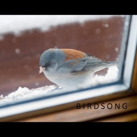 Birdsong (Gabe's song) | Boomplay Music