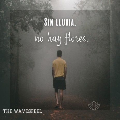 Sin lluvia no hay flores. | Boomplay Music