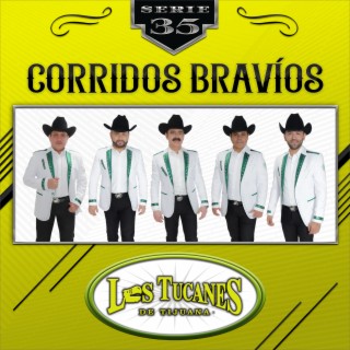 Corridos Bravíos - Serie 35