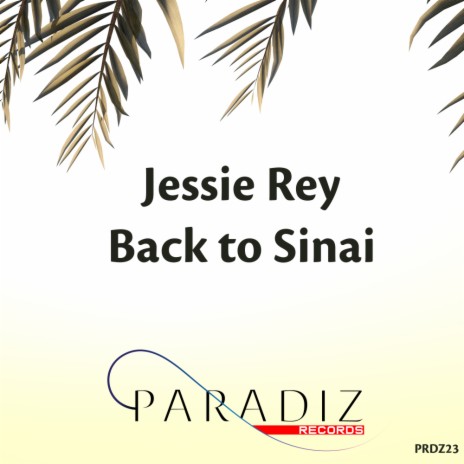 Back To Sinai (Original Mix)