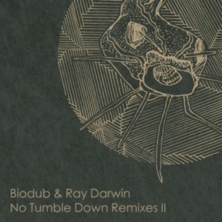 No Tumble Down Remixes 2