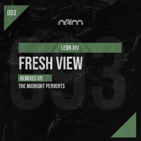 Fresh view (The Midnight Perverts Remix) | Boomplay Music