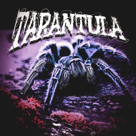 Tarántula