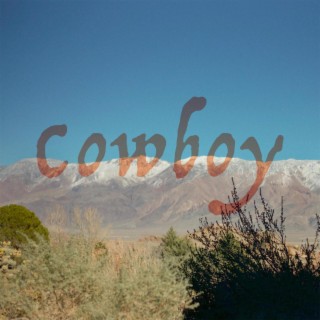 Cowboy lyrics | Boomplay Music