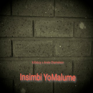 Insimbi YoMalume