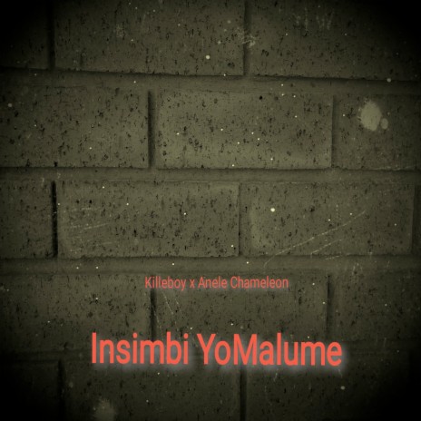 Insimbi YoMalume ft. Anele Chameleon