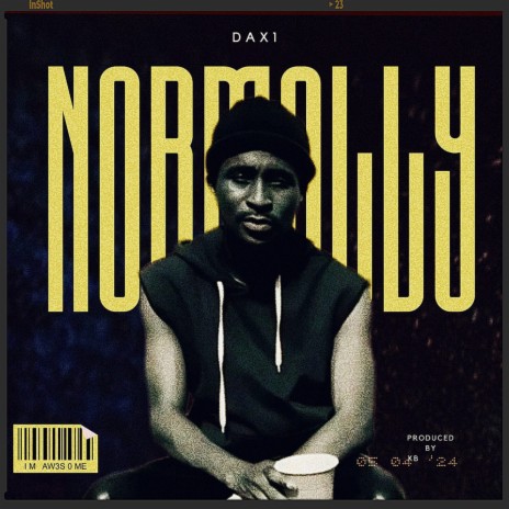 Normally (Remix) ft. African 2nice | Boomplay Music