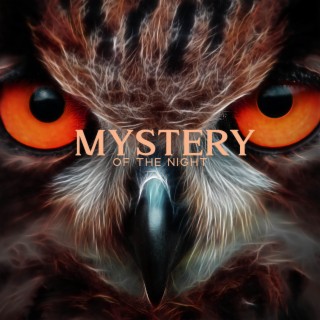 Mystery of The Night: Relaxing Music with The Sounds of Owls for Creative Book Writing, Story Tellers, Visualization, Meditation, Music for Sleep