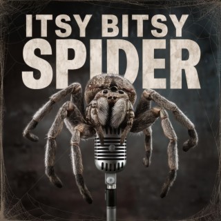 Itsy Bitsy Spider lyrics | Boomplay Music