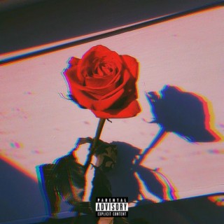 Love & Roses ft. JpBeatz lyrics | Boomplay Music