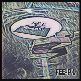 FEE-P 1