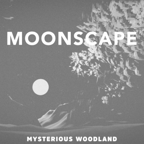 Mysterious Woodland | Boomplay Music