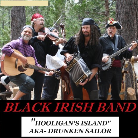 Hooligans Island aka Drunken Sailor | Boomplay Music