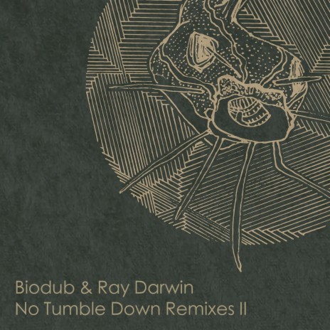 No Tumble Down (feat. Ray Darwin) (Marco Falkone Remix) | Boomplay Music