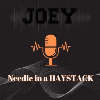 Needle in a HAYSTACK