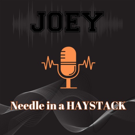 Needle in a HAYSTACK | Boomplay Music