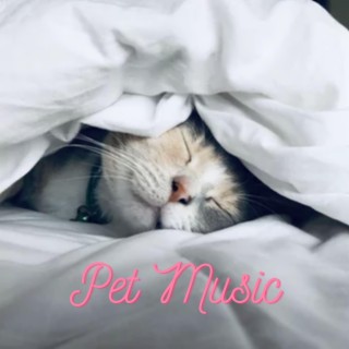 Relaxing Music for Pets