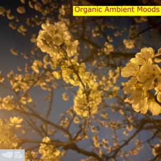 Organic Ambient Moods