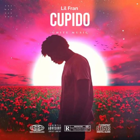 CUPIDO | Boomplay Music