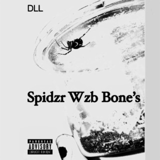 Spidzr Wzb Bone's