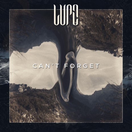 Can't Forget | Boomplay Music