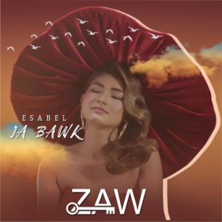 Zaw