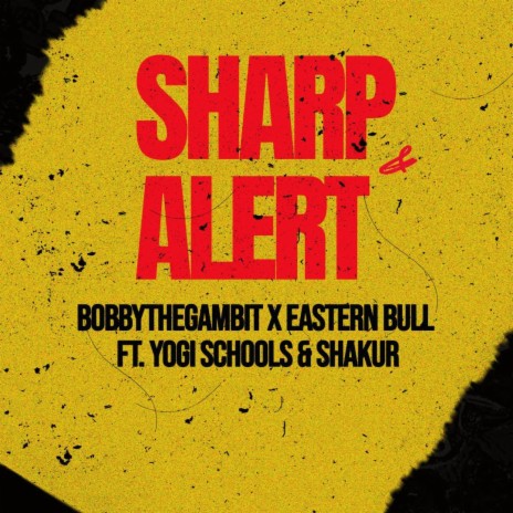 SHARP & ALERT | Boomplay Music