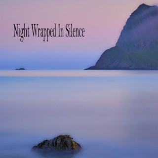Night Wrapped In Silence