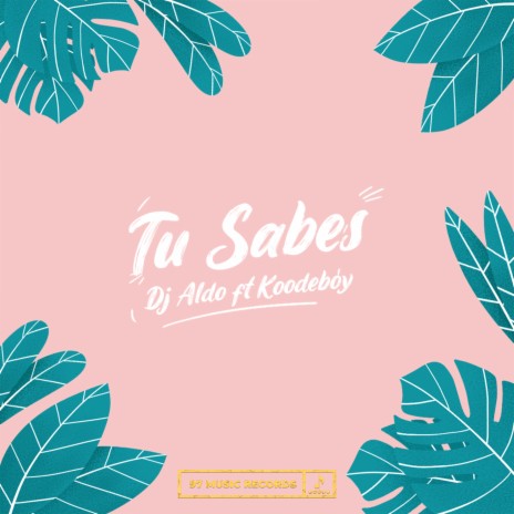 Tu Sabes ft. Koodeboy | Boomplay Music