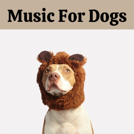 Pup Playlist ft. Relaxing Puppy Music, Calm Pets Music Academy & Music For Dogs | Boomplay Music