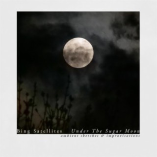 Under The Sugar Moon (Improvisations)