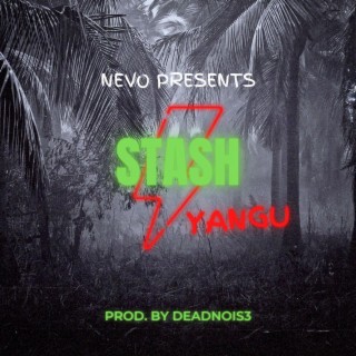 STASH YANGU (Prod. deadnois3)