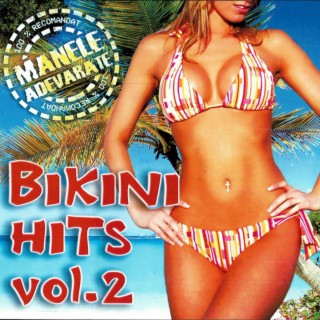 Bikini Hits, Vol. 2