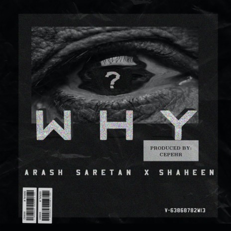 Why ft. Shaheen | Boomplay Music
