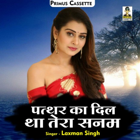 Patthar Ka Dil Tha Tera Sanam (Hindi) | Boomplay Music