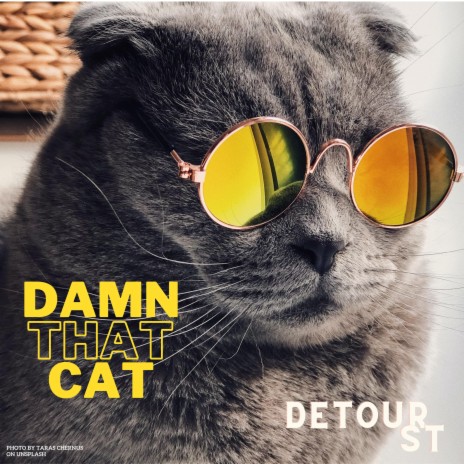 Damn That Cat | Boomplay Music