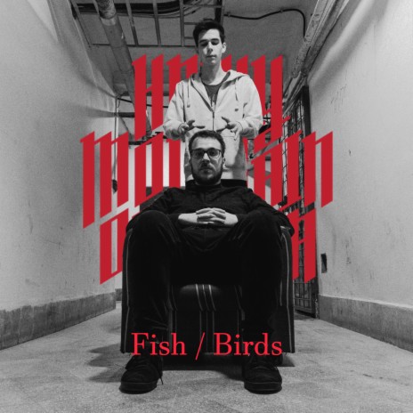 Fish / Birds | Boomplay Music