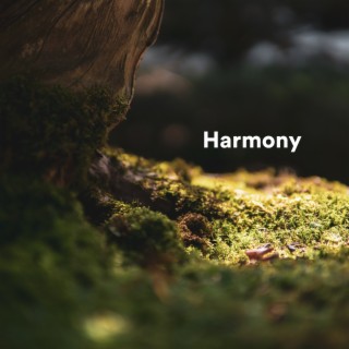 Harmony