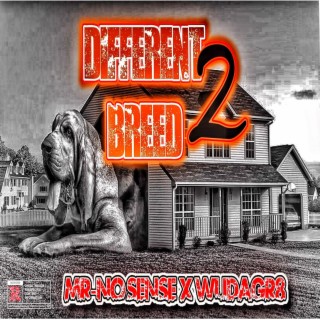DIFFERENT BREED 2