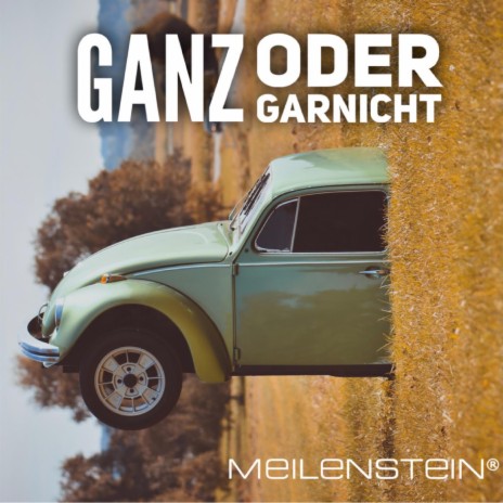 Ganz oder Garnicht (Radio Edit) | Boomplay Music
