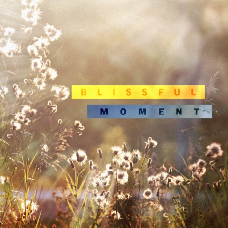 Blissful Moment | Boomplay Music