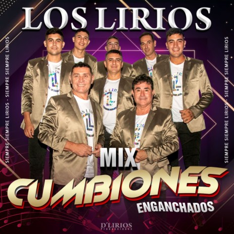 MIX CUMBIONES: EL LLAMADOR / ESPERANDO UNA LLAMADA / A PASO LENTO | Boomplay Music