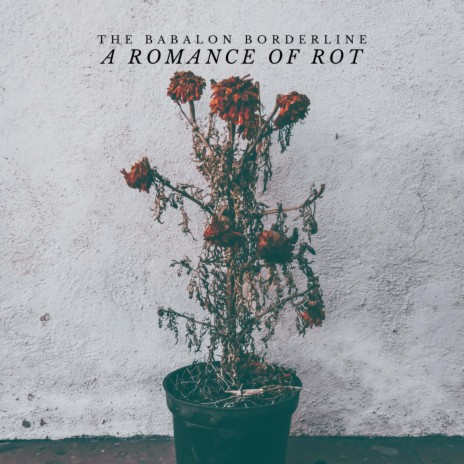 A Romance of Rot | Boomplay Music