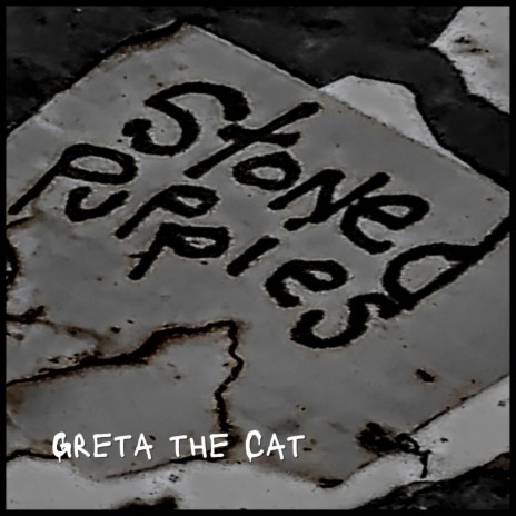 Greta the Cat | Boomplay Music