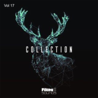 Filthy Sounds Collection, Vol. 17